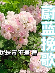 蔚蓝挽歌