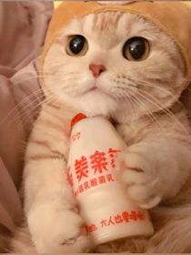 不一样的小故事呢