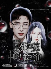 困死囚笼中的金丝雀