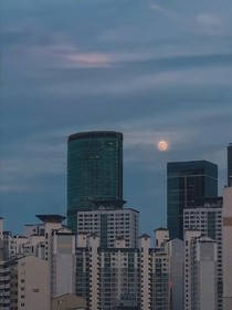 慢古斯