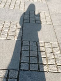 小姐回家啦