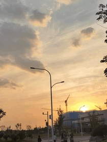 遍地勿忘我