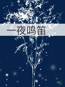 一夜鸣笛