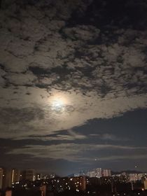 玫瑰花与向日葵（修改版）