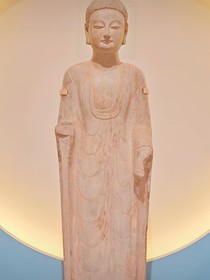 重生之勿晚愛