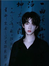 all霖：一狐之上