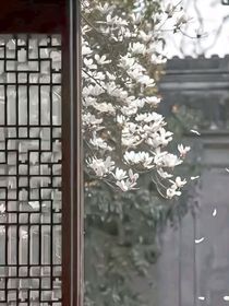 不止相思