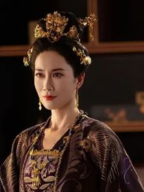 蝶舞叙世