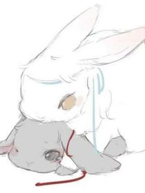 隐居后的生活