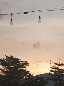 星學(xué)院之亂相紛真
