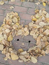 综影视之并蒂莲