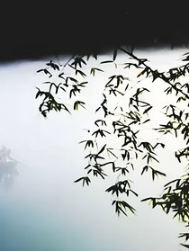 清風過，一情難抵新