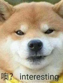 神狗呼安駕到