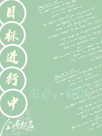 目标进行中