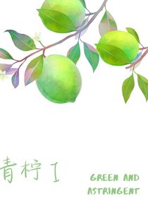 青柠汽水1