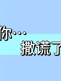 你……撒謊了