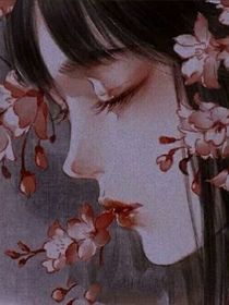 綜影視之女配重活一世
