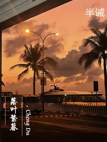 落叶繁暮