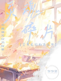 灵魂碎片（穿书拯救路人甲）