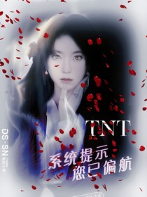 TNT系统提示您已偏航