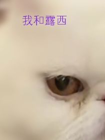 我和露西