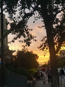 悠天夕墨的随笔小故事