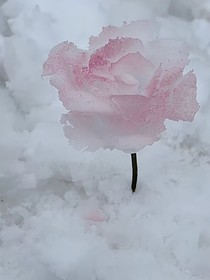 賜我神明