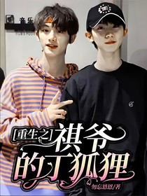 重生之祺爷的丁狐狸