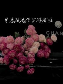 月季玫瑰你分得清吗