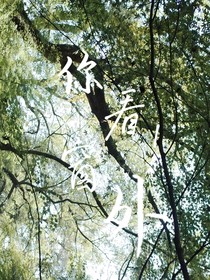 你看！窗外