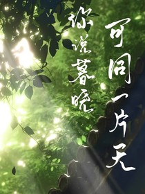 你說暮曉可同一片天