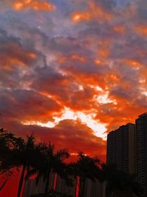 夜晚是十分美好的东西