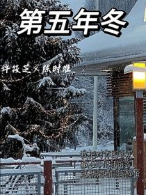 第五年冬