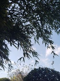 余阳亦暖