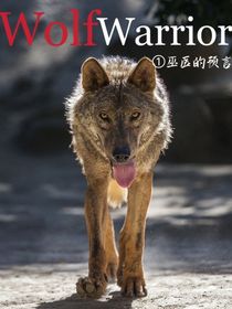 狼武士——巫医的预言