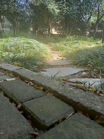 梦想的光芒