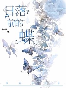 日落前的蝶