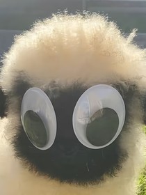 江鏡春的一系列隨筆