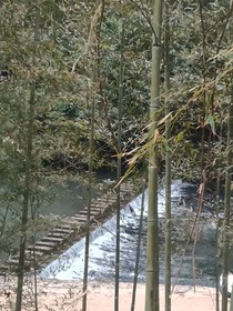 松雾霖意