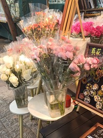 絕世少爺：美人往哪逃