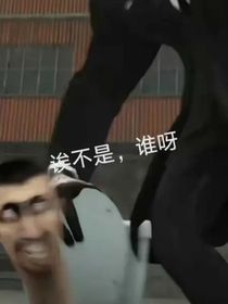 我进来到了监控人的队伍