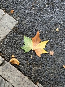赶在落日前