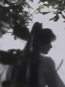 风雨同期