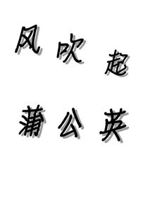 风吹起蒲公英