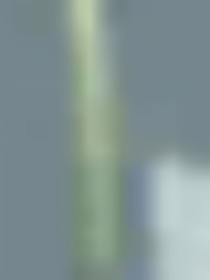 修之路途