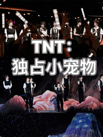 TNT：独占小宠物