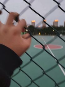 所見所感