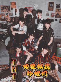 TNT：如狼似虎的他們