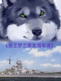 狼王梦之黑紫海军魂