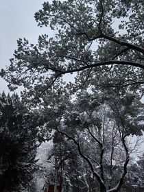 纤尘不染，更迭时序
